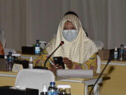 NEVI ZUAIRINA Pemerintah Diminta Tingkatkan Pelayanan Hadapi Lebaran