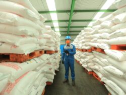 Aman, Stok Pupuk Subsidi Sumbar Tercatat 11.718 Ton