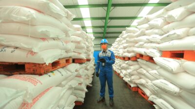 Aman, Stok Pupuk Subsidi Sumbar Tercatat 11.718 Ton