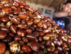 Harga Petai dan Jengkol di Payakumbuh Naik Tiga Kali Lipat