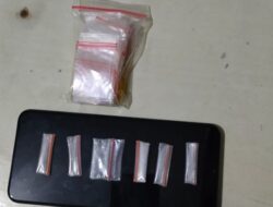 Analisis Kadar Metamfetamina pada Sampel Darah dengan Metode GC-MS