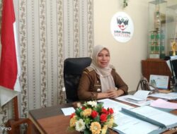 Sambut Perantau, Lubuk Sikaping Gelar LusiFest 2022