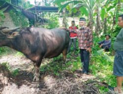 Di Padang Pariaman Seluruh Pasar Taranak Tutup