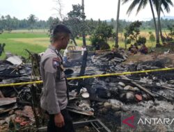 Rumah di Solok Terbakar, Bayi 18 Bulan Meninggal