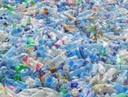 Momen Idul Adha Untuk Pengurangan Wadah Plastik