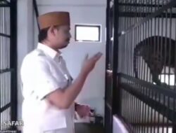  Pemko Bukittinggi Berkomitmen Jaga Kelangsungan Hidup Harimau Sumatera