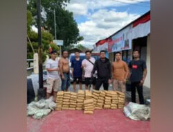 Gagalkan Transaksi, Polres Solok Amankan 75 Paket Ganja