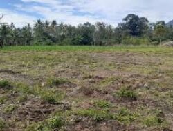 Pemkab Ajak Politani Manfaatkan Lahan Tidur untuk Jagung