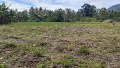 Pemkab Ajak Politani Manfaatkan Lahan Tidur untuk Jagung