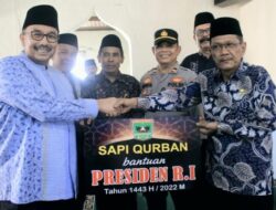 Bupati Pasaman Serahkan Kurban Presiden untuk Korban Gempa di Malampah