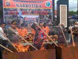 Polres Pasaman Musnahkan Barang Bukti 36,5 Kg Ganja
