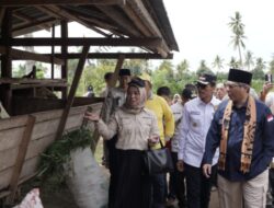 Wamentan Harvick Kagumi Semangat Petani Limapuluh Kota