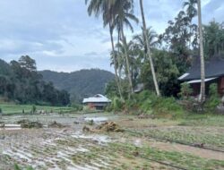 Sejumlah Sawah Warga Garabak Data Terdampak Banjir