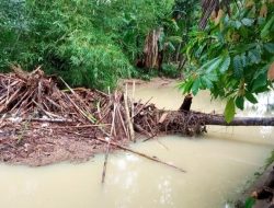 Banjir, Puluhan Rumah di Padang Pariaman Terendam 