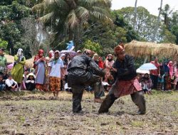 DI NAGARI KUMANGO; Festival Baluluak Bajurami, Mambangkik Batang Tarandam