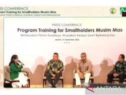 Musim Mas Bantu Petani Sawit Akses ke Pasar Global