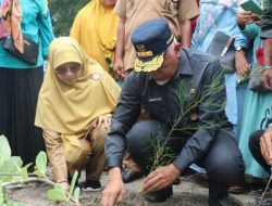 Gubernur Sumbar Tanam 1.400 Batang Cemara Laut di Pantai Nagari Nyiur Melambai