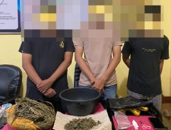 Polres Pessel Tangkap Tiga Pelaku Pemilik Ganja