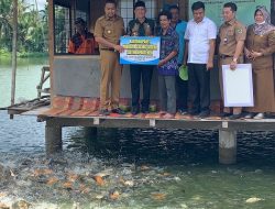 Wagub Tinjau Potensi Perikanan Air Tawar Pasaman