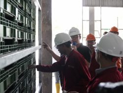Maggot Solusi Sampah Limapuluh Kota
