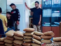 BNNK Solok Gagalkan Peredaran Ratusan Gram Narkoba 