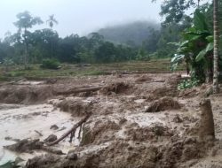 Hujan Deras Picu  Longsor di Dalko Tanjung Raya, 9 Warga Diungsikan 1 Hektar  Sawah Rusak