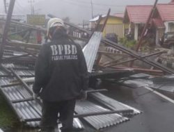 Cuaca Ekstrem di Padang Panjang; Atap Rumah Berterbangan, Beberapa Pohon Tumbang