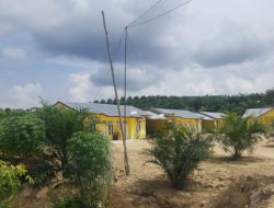 Diduga Kelola Ribuan Hektar Kebun Sawit, Zamzami: Saya tak Perlu Urus Izin HGU