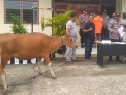 Polsek Sitiung Ungkap Kasus Penggelapan Hewan Ternak, Pelaku Ditangkap di Pekanbaru
