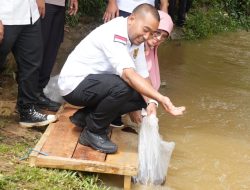 Wagub Audy Lepaskan 15 Ribu Bibit Ikan di Dharmasraya