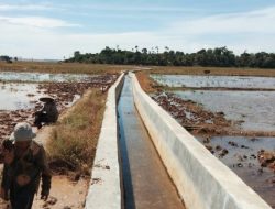 Pessel Alokasikan Anggaran Perbaikan Jaringan Irigasi Rp5,005 Miliar