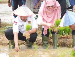 Genjot Ekonomi Masyarakat, Wagub Sumbar Lepaskan 15 Ribu Bibit Ikan di Nagari Sikabau