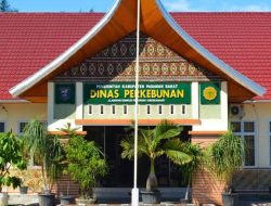 Izin Delapan Pabrik Sawit di Pasbar Terancam Dicabut 