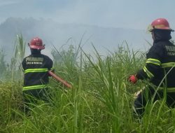 Dua Hektar Lahan di Pauh Terbakar