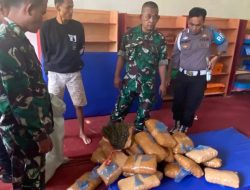 Penjaga Sekolah di Padang Pariaman Simpan 36 Kg Ganja di Perpustakaan