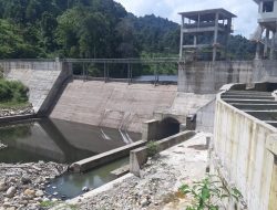 Pembangunan PLTMH Ancam Ikan Endemik di Batang Pelangai