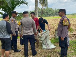 Ibu dan Anak di Padang Pariaman Tewas Dicangkul, Diduga Terkait Soal Sawah