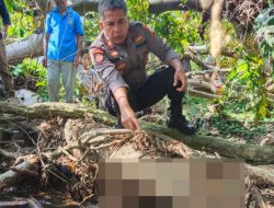 Warga Temukan Mayat Tersangkut di Sungai Batang Sinamar