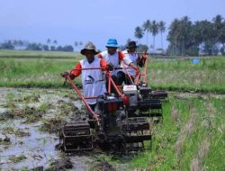Bajak Gratis Pemkab Tanah Datar, Jawaban atas Tantangan Petani