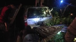 Pohon Tumbang Timpa Mobil dan Tutup Akses Jalan di Maninjau