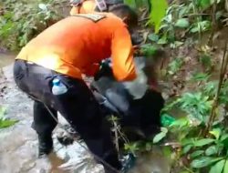 Warga Pasaman Ditemukan Meninggal Setelah Enam Hari Hilang di Hutan