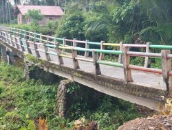 Jembatan Aneh di Padang Pariaman, ‘Terenyak’ tapi tak Patah