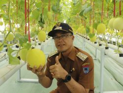 Kisai Agro Salah Satu Destinasi Agrowisata Terbaik di Payakumbuh