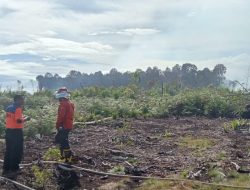 Upaya Pemadaman Karhutla Terus Dilakukan, 120 Hektar Telah Terbakar di Pesisir Selatan