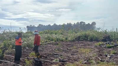 Upaya Pemadaman Karhutla Terus Dilakukan, 120 Hektar Telah Terbakar di Pesisir Selatan
