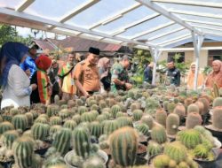 Wabup Pasaman Resmikan Festival Bunga Kaktus dan Bougenvile