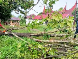 Pohon Tumbang Melintang dan Atap Rumah Warga Diterjang Angin di Subarang Batuang