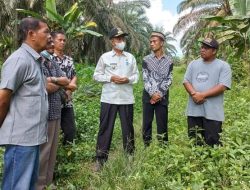 Lelang Kebun Sawit TKD Muaro Kiawai Sesuai Prosedur dan Aturan