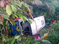 Bus Damri Jatuh ke Jurang Pasaman Barat, Balita Meninggal