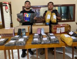 Polresta Bukittinggi Kembali Amankan 20 Paket Ganja